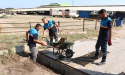 Manisa’da kurban kesim alanları bayrama hazır