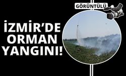 İzmir'de orman yangını! Ekipler müdahale ediyor