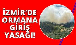 İzmir’de ormanlara giriş yasaklandı