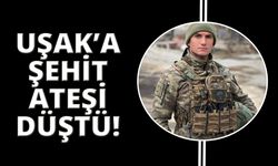 Uşak’a şehit ateşi düştü