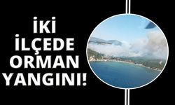  İzmir'in iki ilçesinde aynı anda orman yangını