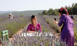 Muğla’nın ‘Mor’ bahçesine ziyaretçi akını