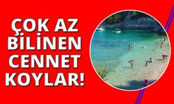 İzmir'de deniz keyfi için az bilinen cennet koylar