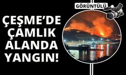 Çeşme'de çamlık alanda yangın!