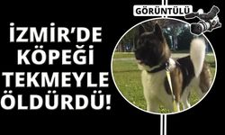 İzmir’de vahşet: Köpeği tekmeleyerek öldürdü