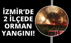 İzmir'de iki ilçede orman yangını sürüyor