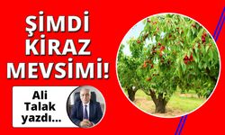 Kiraz Mevsimi!