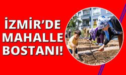 İzmir'de mahalle bostanları bir yıllığına ücretsiz veriliyor