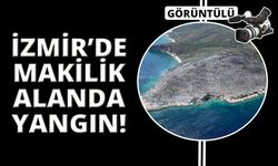 İzmir'de makilik alanda yangın çıktı