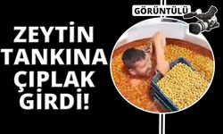 Manisa'da zeytin tankında çıplak sepetleme yaptı