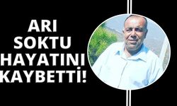 Arının soktuğu adam hayatını kaybetti