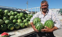 Burhaniye’de karpuz yüz güldürdü