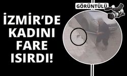 İzmir'de farenin ısırdığı kadın hastanelik oldu