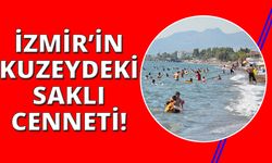 İzmir'in kuzeydeki ilçesi 12 farklı plajıyla büyük ilgi görüyor