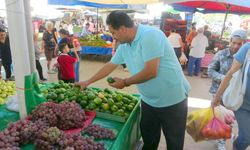 Mandalina tezgahlarda yerini aldı