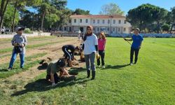 Tarım Meslek Lisesi öğrencileri tarlada üretiyor