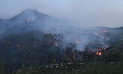 İzmir'deki orman yangınına müdahale sürüyor