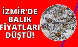 İzmir'de balık fiyatları düştü!