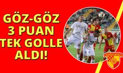 Trendyol 1. Lig: Manisa FK: 0 - Göztepe: 1