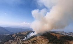 İzmir Karabağlar'da orman yangını çıktı