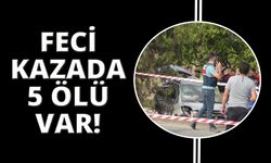 Muğla'daki feci kazada 5 ölü var!