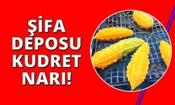 Şifa deposu kudret narı büyük ilgi görüyor