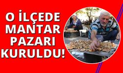 Mantar Pazarı kuruldu, büyük ilgi var