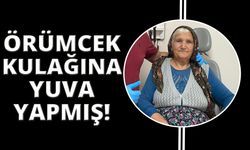 Manisa'da ilginç olay! Örümcek kulağa yuva yapmış