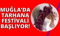 Muğla'da hafta sonu hem şenlik, hem festival var