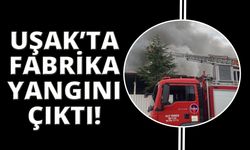  Uşak'ta tekstil fabrikasında yangın çıktı