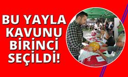 En güzel, en lezzetli kavun seçildi