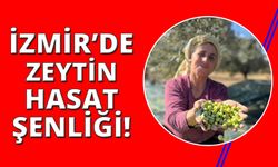 İzmir'de Zeytin Hasat Şenliği yapılacak!