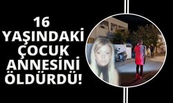 Bodrum'da kan donduran cinayet