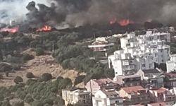  İzmir’de yerleşim yerlerine yakın alanda orman yangını