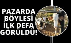 Böyle unutkanlık görülmedi, danalar pazarda unutuldu