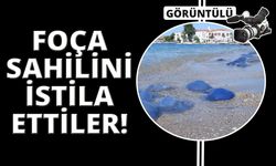 Foça plajlarında denizanası istilası