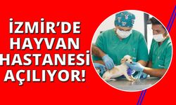 İlk kamu hayvan hastanesi İzmir’de açılıyor