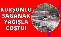 Manisa'da Kurşunlu Şelalesi sağanakla coştu