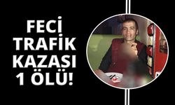 Manisa'da telefonla konuşurken otomobilin çarptığı adam öldü
