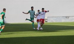  TFF 3. Lig: Karşıyaka: 3 - Sapanca Gençlik: 2