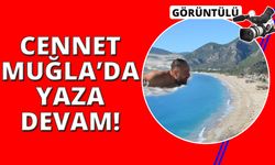 Muğla Ölüdeniz'de yaz bitmek bilmiyor