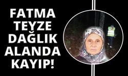 Muğla’da mantar toplamaya giden yaşlı kadın dağda kayboldu