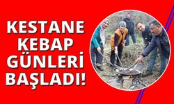 Kışın vazgeçilmez lezzeti kestanenin sofralara yolculuğu başladı