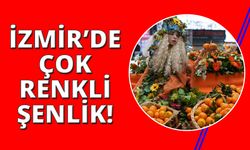 Mandalina Şenliği'nde birbirinden renkli görüntüler oluştu