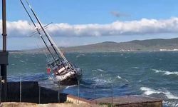  Ayvalık'ta fırtına hayatı felç etti