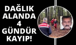 Dağda kaybolan adamı arama çalışması sürüyor