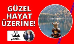 Güzel hayat üzerine!