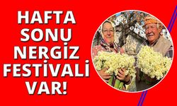 İzmir Karaburun Nergiz Festivali başlıyor