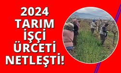 Manisa'da tarım işçi ücretleri belirlendi!