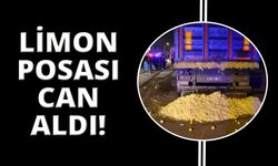  Limon posası yola döküldü: 1 ölü, 11 yaralı!